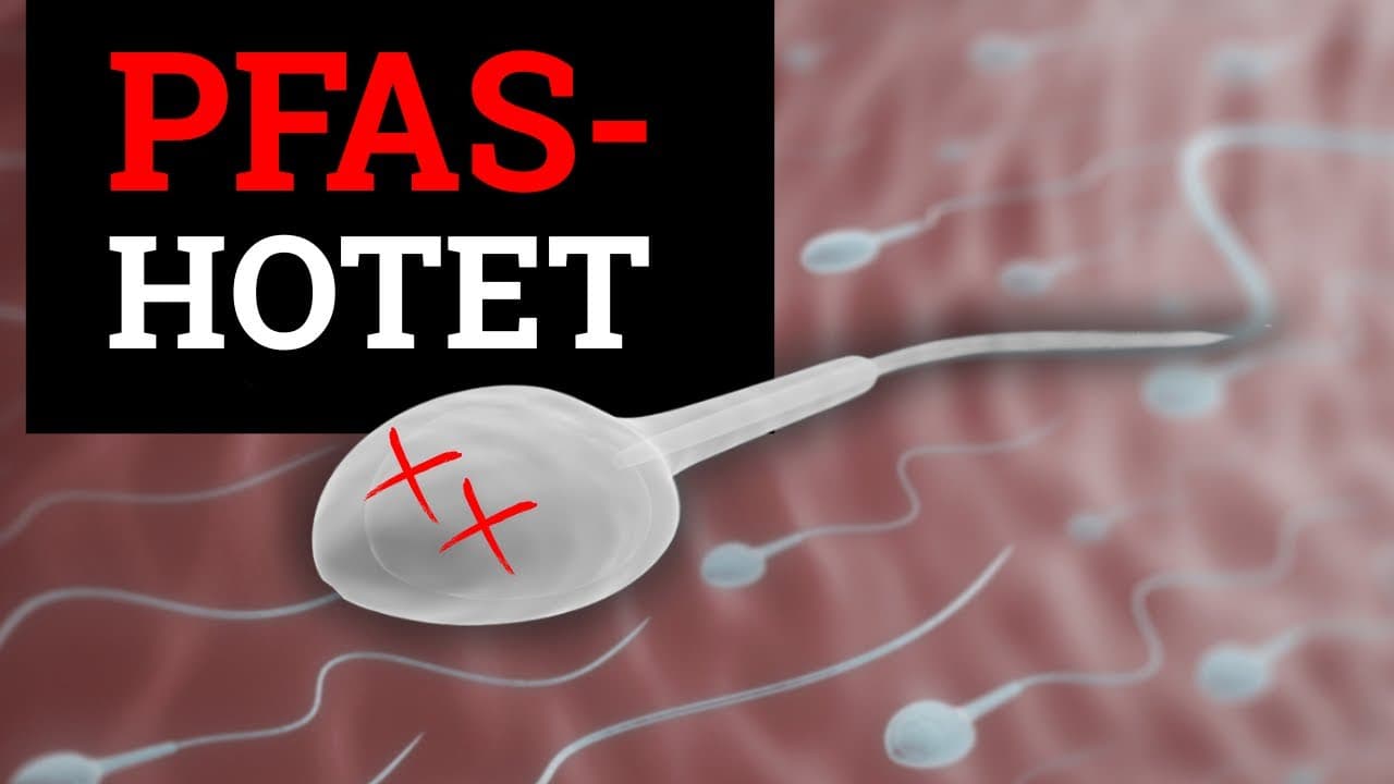 2uI_wFWgo6Y poster image